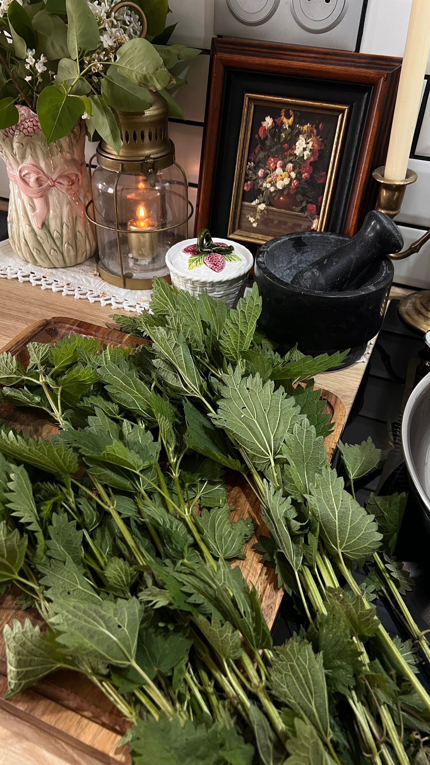 Infusion d'Ortie – Urtica Dioica