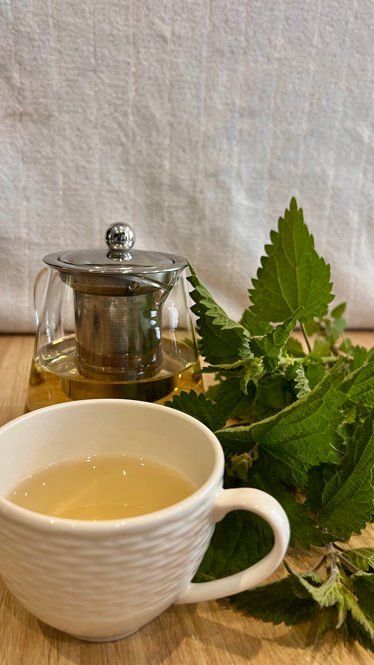 Infusion d'Ortie – Urtica Dioica