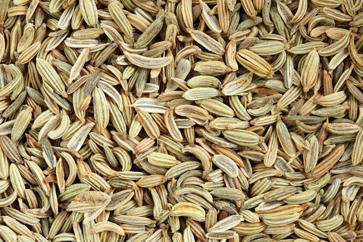 Fennel – Foeniculum vulgare