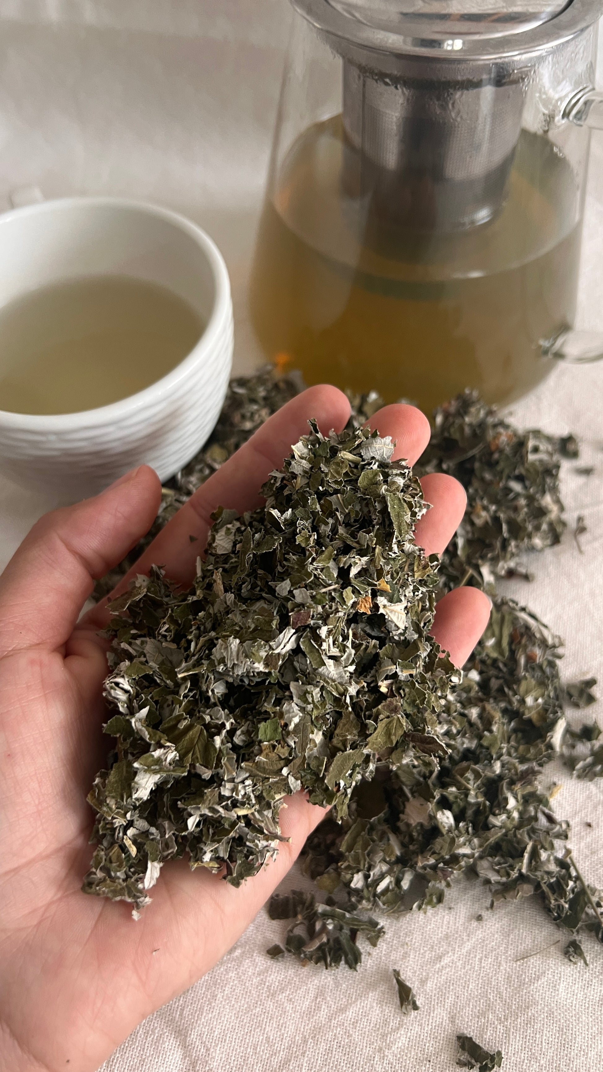 Folhas de framboesa - para infusão