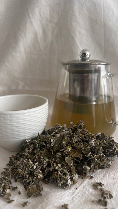 Folhas de framboesa - para infusão